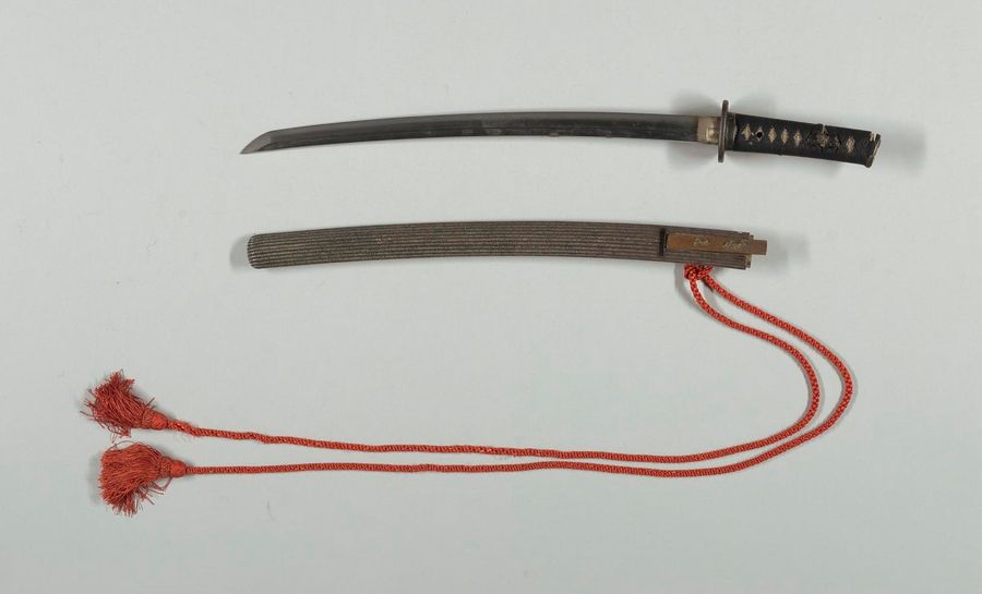 Scabbard and sword